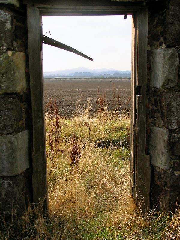 Over the fields.jpg